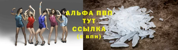 МДПВ Гусев