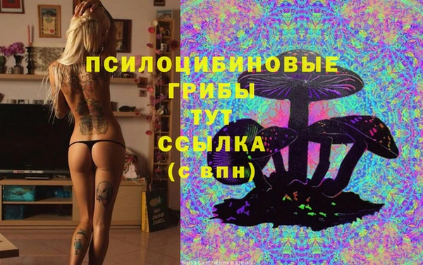 не бодяженный Дмитриев
