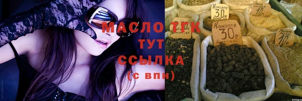 МДПВ Гусев