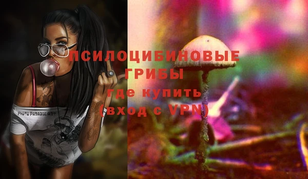МДПВ Гусев