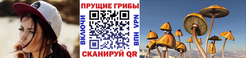 Псилоцибиновые грибы GOLDEN TEACHER  Красновишерск 